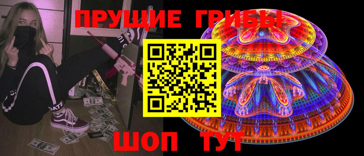 Тара  Псилоцибиновые грибы Cubensis  Вход с VPN  Псилоцибиновые грибы мухоморы 